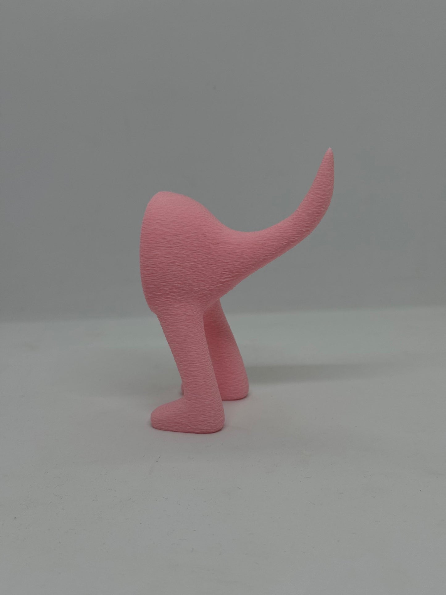 Cuier "Fund de Câine"